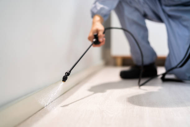 Licensed Pest Control service in Hays, MT - Show Me Pest Control